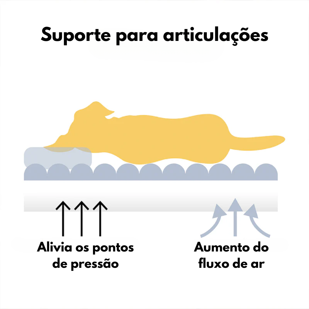 Cama Sofá Pet Ortopédico - O seu pet merece o melhor + 2 BRINDES: Escada e Almofada